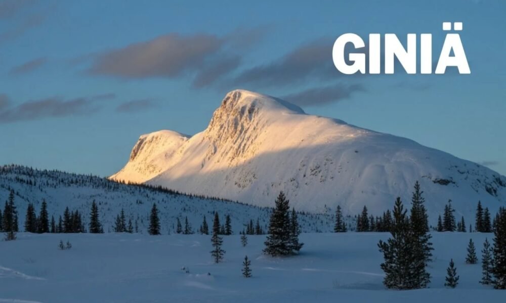 Giniä