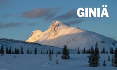 Giniä